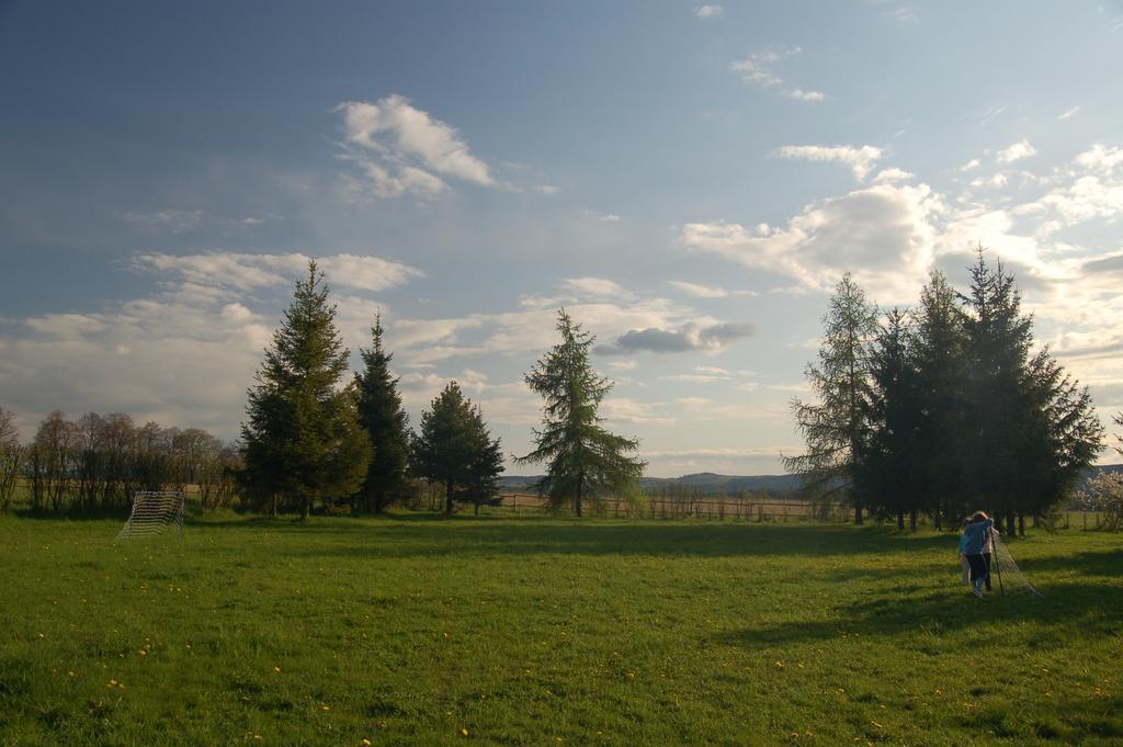 Rezydencja Terra Sudeta Bed & Breakfast Miedzylesie  Exterior photo